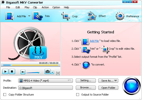 Bigasoft total video converter download